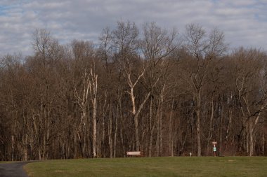Güzel doğa manzarası henüz binalarla dolu olmayan güzel açık alanları hatırlatmaya yardımcı olur. Kahverengi ağaçlar kış mevsimi nedeniyle yapraksız dimdik duruyorlar..