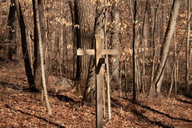 Bu, yürüyüşçülere gidilecek yolu gösteren bir işaret. Ormanlık alandaki izleri gösteren kahverengi tabela. Bu gösterge insanların kaybolmasını engellemek için..