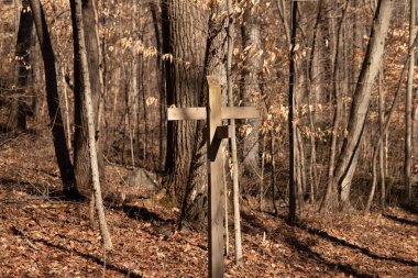 Bu, yürüyüşçülere gidilecek yolu gösteren bir işaret. Ormanlık alandaki izleri gösteren kahverengi tabela. Bu gösterge insanların kaybolmasını engellemek için..