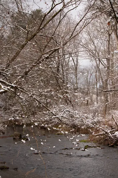 Dere boyunca uzanan kurak bir sahne. Ağaçlar, beyaz kara tutunan güzel kahverengi uzuvlarıyla suyun kenarlarında dururlar. Su siyah görünüyor ve çevreden dışarı çıkıyor..