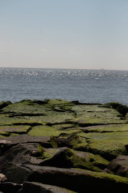 Bu iskelenin güzel siyah kayalarının bir görüntüsü. Zümrüt yeşili yosun yetişiyor. Güneşi yakalıyor ve neredeyse parıldıyor. Su arka planda biraz görülebilir..