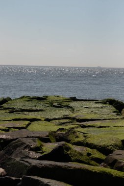 Bu iskelenin güzel siyah kayalarının bir görüntüsü. Zümrüt yeşili yosun yetişiyor. Güneşi yakalıyor ve neredeyse parıldıyor. Su arka planda biraz görülebilir..