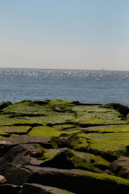 Bu iskelenin güzel siyah kayalarının bir görüntüsü. Zümrüt yeşili yosun yetişiyor. Güneşi yakalıyor ve neredeyse parıldıyor. Su arka planda biraz görülebilir..