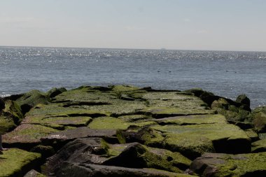Bu iskelenin güzel siyah kayalarının bir görüntüsü. Zümrüt yeşili yosun yetişiyor. Güneşi yakalıyor ve neredeyse parıldıyor. Su arka planda biraz görülebilir..