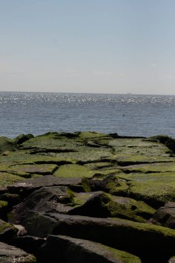 Bu iskelenin güzel siyah kayalarının bir görüntüsü. Zümrüt yeşili yosun yetişiyor. Güneşi yakalıyor ve neredeyse parıldıyor. Su arka planda biraz görülebilir..