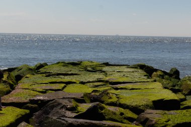 Bu iskelenin güzel siyah kayalarının bir görüntüsü. Zümrüt yeşili yosun yetişiyor. Güneşi yakalıyor ve neredeyse parıldıyor. Su arka planda biraz görülebilir..