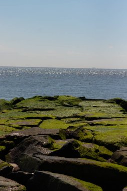 Bu iskelenin güzel siyah kayalarının bir görüntüsü. Zümrüt yeşili yosun yetişiyor. Güneşi yakalıyor ve neredeyse parıldıyor. Su arka planda biraz görülebilir..