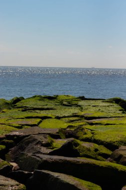 Bu iskelenin güzel siyah kayalarının bir görüntüsü. Zümrüt yeşili yosun yetişiyor. Güneşi yakalıyor ve neredeyse parıldıyor. Su arka planda biraz görülebilir..