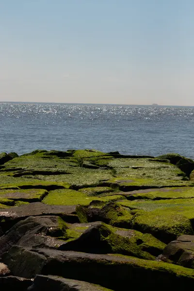 Bu iskelenin güzel siyah kayalarının bir görüntüsü. Zümrüt yeşili yosun yetişiyor. Güneşi yakalıyor ve neredeyse parıldıyor. Su arka planda biraz görülebilir..