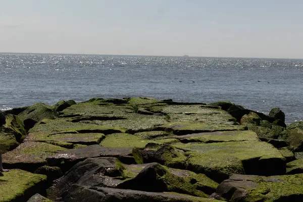 Bu iskelenin güzel siyah kayalarının bir görüntüsü. Zümrüt yeşili yosun yetişiyor. Güneşi yakalıyor ve neredeyse parıldıyor. Su arka planda biraz görülebilir..