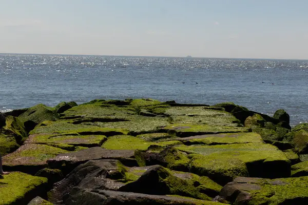 Bu iskelenin güzel siyah kayalarının bir görüntüsü. Zümrüt yeşili yosun yetişiyor. Güneşi yakalıyor ve neredeyse parıldıyor. Su arka planda biraz görülebilir..