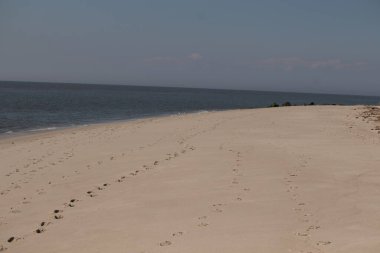 Sahilde gezinen bu güzel ayak izlerine bayılıyorum. İzler kum tanelerine yapışmış. Kahverenginin farklı tonlarında. Arka planda okyanus görünüyor..