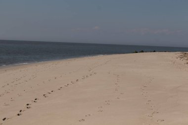 Sahilde gezinen bu güzel ayak izlerine bayılıyorum. İzler kum tanelerine yapışmış. Kahverenginin farklı tonlarında. Arka planda okyanus görünüyor..