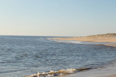 Klasik plaj görüntüsü. Okyanustan dalgalar köpüklü beyaz şapkalar kahverengi kuma çarpıyor. Sahilde bitki örtüsü olan kum tepeleri. Güzel mavi gökyüzü tatil için güzel bir gün.