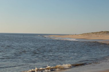 Klasik plaj görüntüsü. Okyanustan dalgalar köpüklü beyaz şapkalar kahverengi kuma çarpıyor. Sahilde bitki örtüsü olan kum tepeleri. Güzel mavi gökyüzü tatil için güzel bir gün.