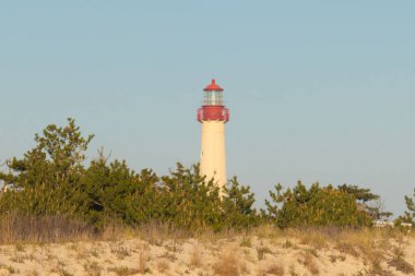 Güzel Cape May Point Deniz Feneri. Ağaçlardan çıkan büyük beyaz yapı. Üzerinde cam olan kırmızı metal kaplama denizcilerin denizciliğe yardım etmelerinin önünü aydınlatan bir lamba tutuyor..