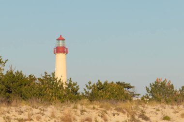 Güzel Cape May Point Deniz Feneri. Ağaçlardan çıkan büyük beyaz yapı. Üzerinde cam olan kırmızı metal kaplama denizcilerin denizciliğe yardım etmelerinin önünü aydınlatan bir lamba tutuyor..