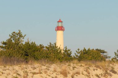 Güzel Cape May Point Deniz Feneri. Ağaçlardan çıkan büyük beyaz yapı. Üzerinde cam olan kırmızı metal kaplama denizcilerin denizciliğe yardım etmelerinin önünü aydınlatan bir lamba tutuyor..