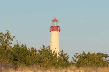Güzel Cape May Point Deniz Feneri. Ağaçlardan çıkan büyük beyaz yapı. Üzerinde cam olan kırmızı metal kaplama denizcilerin denizciliğe yardım etmelerinin önünü aydınlatan bir lamba tutuyor..