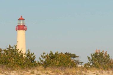 Güzel Cape May Point Deniz Feneri. Ağaçlardan çıkan büyük beyaz yapı. Üzerinde cam olan kırmızı metal kaplama denizcilerin denizciliğe yardım etmelerinin önünü aydınlatan bir lamba tutuyor..