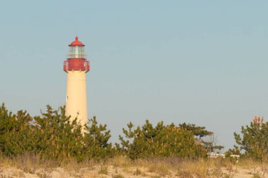Güzel Cape May Point Deniz Feneri. Ağaçlardan çıkan büyük beyaz yapı. Üzerinde cam olan kırmızı metal kaplama denizcilerin denizciliğe yardım etmelerinin önünü aydınlatan bir lamba tutuyor..