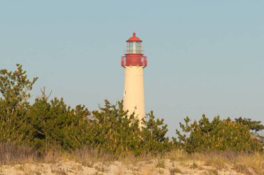 Güzel Cape May Point Deniz Feneri. Ağaçlardan çıkan büyük beyaz yapı. Üzerinde cam olan kırmızı metal kaplama denizcilerin denizciliğe yardım etmelerinin önünü aydınlatan bir lamba tutuyor..