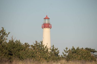 Güzel Cape May Point Deniz Feneri. Ağaçlardan çıkan büyük beyaz yapı. Üzerinde cam olan kırmızı metal kaplama denizcilerin denizciliğe yardım etmelerinin önünü aydınlatan bir lamba tutuyor..
