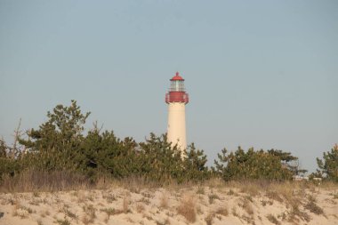 Güzel Cape May Point Deniz Feneri. Ağaçlardan çıkan büyük beyaz yapı. Üzerinde cam olan kırmızı metal kaplama denizcilerin denizciliğe yardım etmelerinin önünü aydınlatan bir lamba tutuyor..