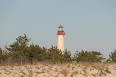 Güzel Cape May Point Deniz Feneri. Ağaçlardan çıkan büyük beyaz yapı. Üzerinde cam olan kırmızı metal kaplama denizcilerin denizciliğe yardım etmelerinin önünü aydınlatan bir lamba tutuyor..