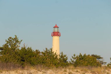 Güzel Cape May Point Deniz Feneri. Ağaçlardan çıkan büyük beyaz yapı. Üzerinde cam olan kırmızı metal kaplama denizcilerin denizciliğe yardım etmelerinin önünü aydınlatan bir lamba tutuyor..