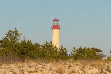 Güzel Cape May Point Deniz Feneri. Ağaçlardan çıkan büyük beyaz yapı. Üzerinde cam olan kırmızı metal kaplama denizcilerin denizciliğe yardım etmelerinin önünü aydınlatan bir lamba tutuyor..