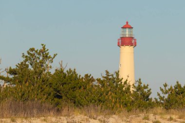 Güzel Cape May Point Deniz Feneri. Ağaçlardan çıkan büyük beyaz yapı. Üzerinde cam olan kırmızı metal kaplama denizcilerin denizciliğe yardım etmelerinin önünü aydınlatan bir lamba tutuyor..