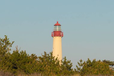 Güzel Cape May Point Deniz Feneri. Ağaçlardan çıkan büyük beyaz yapı. Üzerinde cam olan kırmızı metal kaplama denizcilerin denizciliğe yardım etmelerinin önünü aydınlatan bir lamba tutuyor..