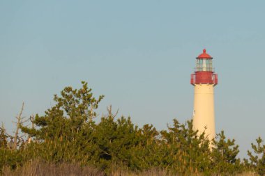 Güzel Cape May Point Deniz Feneri. Ağaçlardan çıkan büyük beyaz yapı. Üzerinde cam olan kırmızı metal kaplama denizcilerin denizciliğe yardım etmelerinin önünü aydınlatan bir lamba tutuyor..