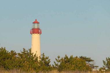 Güzel Cape May Point Deniz Feneri. Ağaçlardan çıkan büyük beyaz yapı. Üzerinde cam olan kırmızı metal kaplama denizcilerin denizciliğe yardım etmelerinin önünü aydınlatan bir lamba tutuyor..