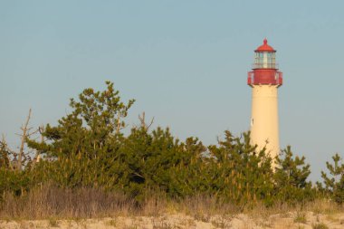 Güzel Cape May Point Deniz Feneri. Ağaçlardan çıkan büyük beyaz yapı. Üzerinde cam olan kırmızı metal kaplama denizcilerin denizciliğe yardım etmelerinin önünü aydınlatan bir lamba tutuyor..