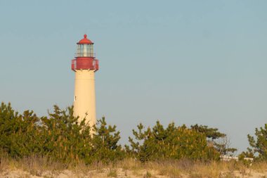 Güzel Cape May Point Deniz Feneri. Ağaçlardan çıkan büyük beyaz yapı. Üzerinde cam olan kırmızı metal kaplama denizcilerin denizciliğe yardım etmelerinin önünü aydınlatan bir lamba tutuyor..