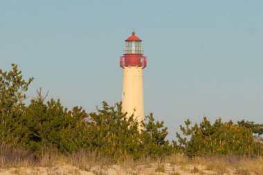 Güzel Cape May Point Deniz Feneri. Ağaçlardan çıkan büyük beyaz yapı. Üzerinde cam olan kırmızı metal kaplama denizcilerin denizciliğe yardım etmelerinin önünü aydınlatan bir lamba tutuyor..