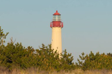 Güzel Cape May Point Deniz Feneri. Ağaçlardan çıkan büyük beyaz yapı. Üzerinde cam olan kırmızı metal kaplama denizcilerin denizciliğe yardım etmelerinin önünü aydınlatan bir lamba tutuyor..