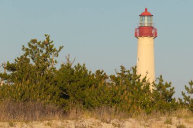 Güzel Cape May Point Deniz Feneri. Ağaçlardan çıkan büyük beyaz yapı. Üzerinde cam olan kırmızı metal kaplama denizcilerin denizciliğe yardım etmelerinin önünü aydınlatan bir lamba tutuyor..
