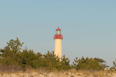 Güzel Cape May Point Deniz Feneri. Ağaçlardan çıkan büyük beyaz yapı. Üzerinde cam olan kırmızı metal kaplama denizcilerin denizciliğe yardım etmelerinin önünü aydınlatan bir lamba tutuyor..