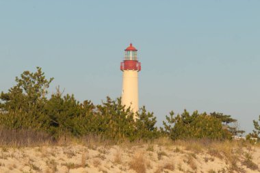 Güzel Cape May Point Deniz Feneri. Ağaçlardan çıkan büyük beyaz yapı. Üzerinde cam olan kırmızı metal kaplama denizcilerin denizciliğe yardım etmelerinin önünü aydınlatan bir lamba tutuyor..