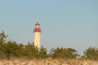 Güzel Cape May Point Deniz Feneri. Ağaçlardan çıkan büyük beyaz yapı. Üzerinde cam olan kırmızı metal kaplama denizcilerin denizciliğe yardım etmelerinin önünü aydınlatan bir lamba tutuyor..