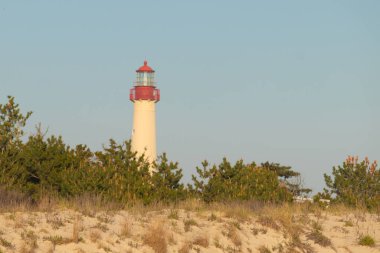 Güzel Cape May Point Deniz Feneri. Ağaçlardan çıkan büyük beyaz yapı. Üzerinde cam olan kırmızı metal kaplama denizcilerin denizciliğe yardım etmelerinin önünü aydınlatan bir lamba tutuyor..