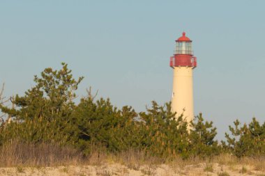 Güzel Cape May Point Deniz Feneri. Ağaçlardan çıkan büyük beyaz yapı. Üzerinde cam olan kırmızı metal kaplama denizcilerin denizciliğe yardım etmelerinin önünü aydınlatan bir lamba tutuyor..