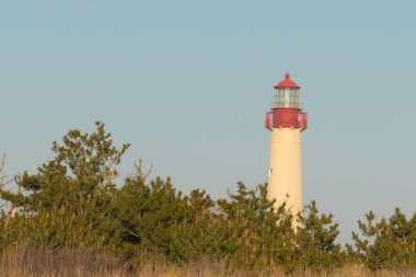 Güzel Cape May Point Deniz Feneri. Ağaçlardan çıkan büyük beyaz yapı. Üzerinde cam olan kırmızı metal kaplama denizcilerin denizciliğe yardım etmelerinin önünü aydınlatan bir lamba tutuyor..