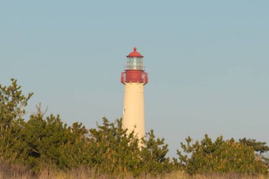 Güzel Cape May Point Deniz Feneri. Ağaçlardan çıkan büyük beyaz yapı. Üzerinde cam olan kırmızı metal kaplama denizcilerin denizciliğe yardım etmelerinin önünü aydınlatan bir lamba tutuyor..