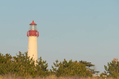 Güzel Cape May Point Deniz Feneri. Ağaçlardan çıkan büyük beyaz yapı. Üzerinde cam olan kırmızı metal kaplama denizcilerin denizciliğe yardım etmelerinin önünü aydınlatan bir lamba tutuyor..