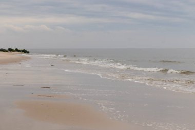 Bu plajın güzel bir gününün görüntüsü. Dalgaların yumuşak akıntıları kıyıya vurmaya geliyor, her geçişte kumu dışarı taşıyor. Bulutlar gökyüzüne yayıldı..