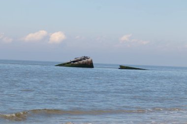 Bu, New Jersey Burnu 'ndaki Sunset sahilindeki batık geminin resmi. Okyanustan çıkan paslı metal gövde. Kahverengi gemi sahil kuşları için bir yaşam alanı değildir..